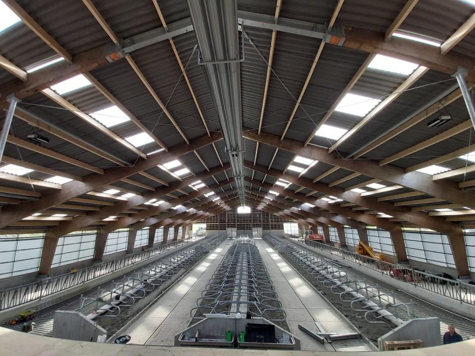 Ligboxenstal hollema bouw