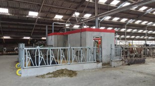 Interne verbouw tbv melkrobots