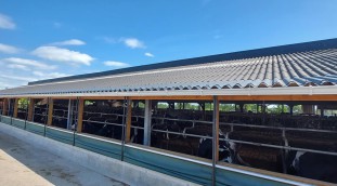 Renovatie zij uitbouw