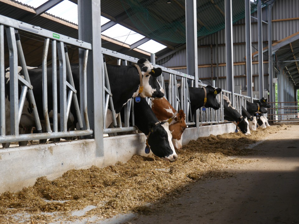 Stalinrichting Hollema Bouw Friesland 17