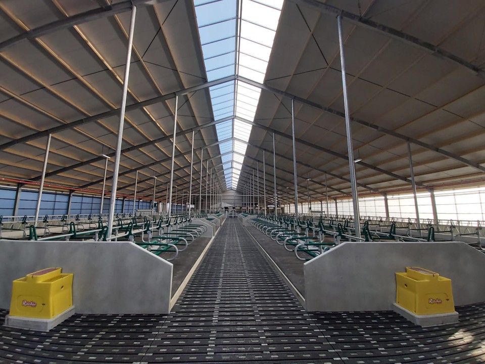 nieuwbouw ligboxenstal Friesland